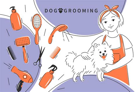 Dog grooming. Cartoon dog with professional barber woman grooming dog. Different tools for ...