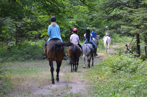 Horseback Riding Camp | Sleep Away Camp | English | Western — Camp Birchwood