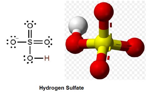 Hydrogen Sulfate - Structure, Properties and Uses of HSO4-