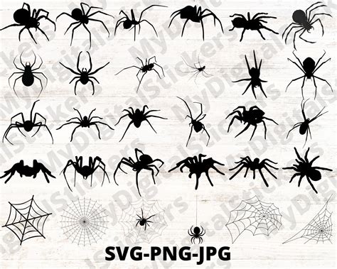 HALLOWEEN SPIDER SVG Spider Clipart Halloween Svg Files for - Etsy