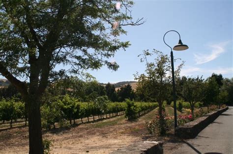 Cline Cellars in Sonoma - beautiful winery - Marin County Real Estate, Wine Country, Country ...