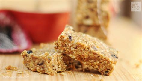 Pumpkin Seed Granola Bars - Fried Dandelions