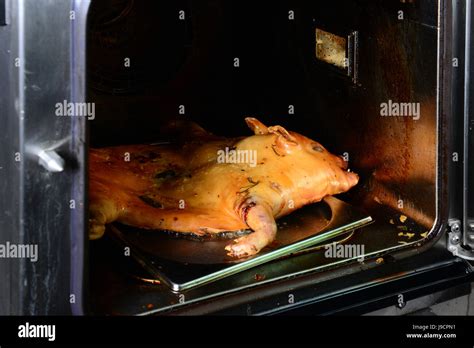 roast pig in oven Stock Photo - Alamy