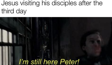 Holy meme : r/raimimemes