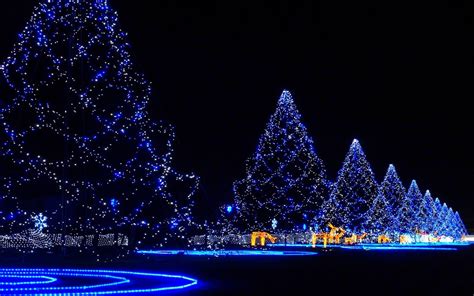 Christmas Lights Backgrounds | Wallpapers, Backgrounds, Images, Art Photos.