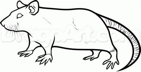 Scary Rat Drawing at GetDrawings | Free download