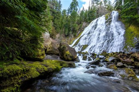 21 Spectacular Hikes Near Eugene, Oregon | Oregon waterfalls, Castle rock trail, Oregon travel