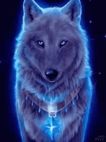 Wolf Lone Wolf GIF - Wolf Lone Wolf Shining - Discover & Share GIFs | Wolf, Lone wolf, Gif