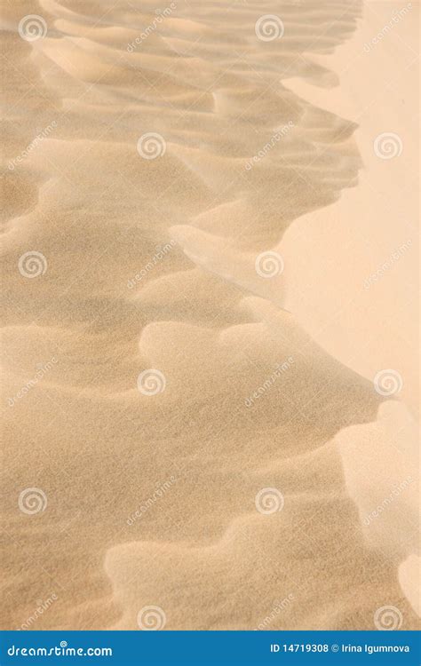 Sandy background stock photo. Image of tropical, nature - 14719308