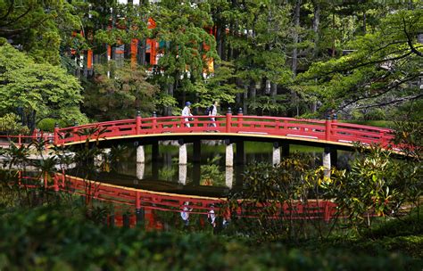 Seeking Solitude in Japan’s Mountain Monasteries - The New York Times