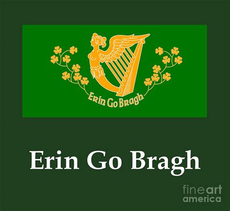 Erin Go Bragh Flag Digital Art by Frederick Holiday - Fine Art America