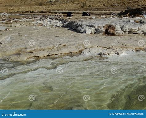 Salt on dead sea Jordan stock image. Image of sediments - 137569583