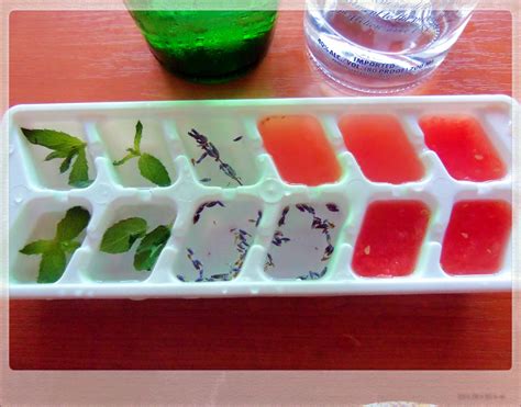 You've Got Meal!: Summer Drinks: Flavored Ice Cubes