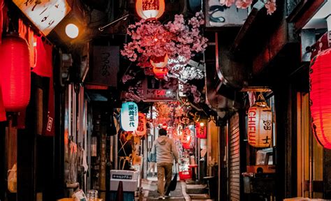 The Best Izakaya Alleys In Tokyo To Get A Local Experience! | Japan Wonder Travel Blog