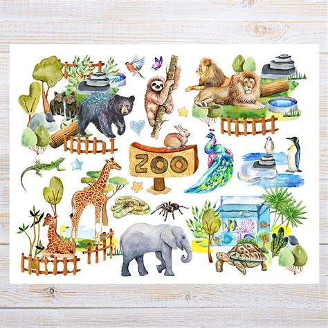 Zoo Postcard 1 Postcard Thick Cardstock for Sending a Postcard to a ...