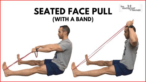 How To Do Face Pulls Correctly And Safely [Videos & FAQs] - The White ...