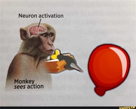 Monke funny - Neuron activation Monkey \ sees action > - iFunny