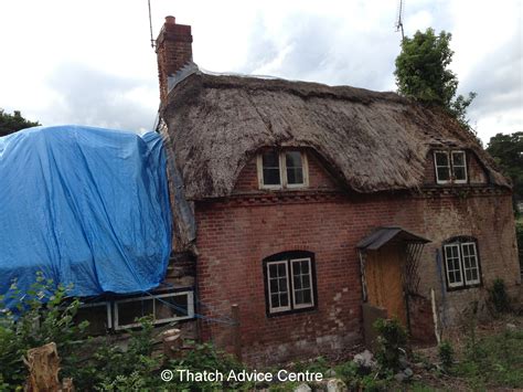 Thatched Roof Maintenance - Reminder Time - Thatch Advice Centre