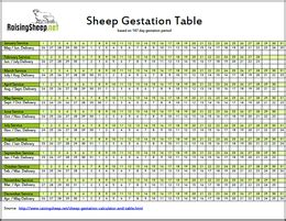 Sheep Gestation Calculator | Gestation Table