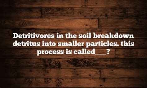 Detritivores in the soil breakdown detritus into smaller particles. this process is called___?