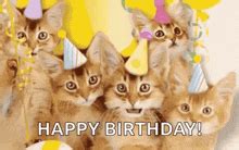 Happy Birthday Cats GIF - Happy birthday cats - Discover & Share GIFs