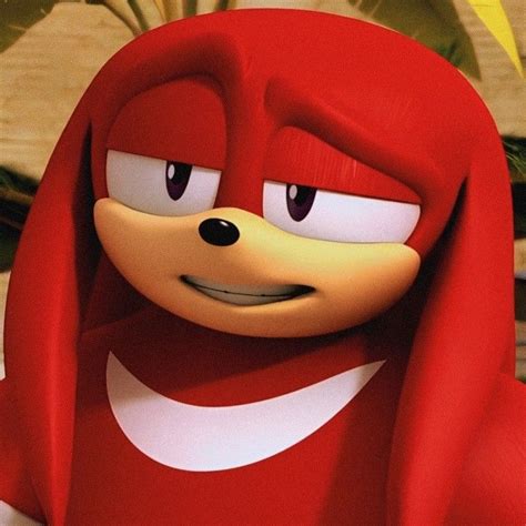 Knuckle in 2024 | Sonic boom knuckles, Sonic boom, Animated drawings