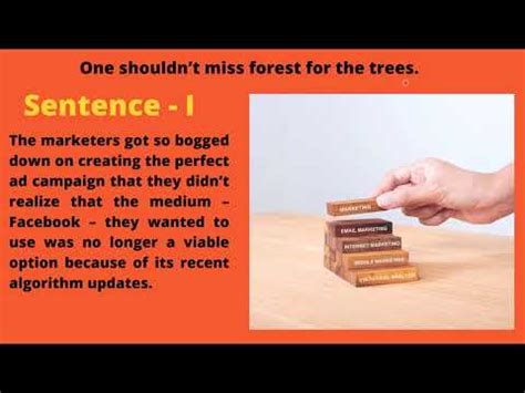 One shouldn’t miss forest for the trees - English Proverb - YouTube