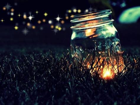 Fireflies At Night Pictures, Photos, and Images for Facebook, Tumblr, Pinterest, and Twitter