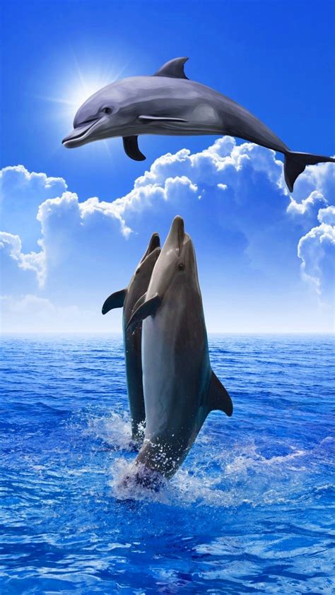 iPhone Dolphin Wallpaper - KoLPaPer - Awesome Free HD Wallpapers