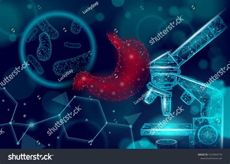 Human Stomach Microscope 3d Low Poly Stock Vector (Royalty Free) 1616969776