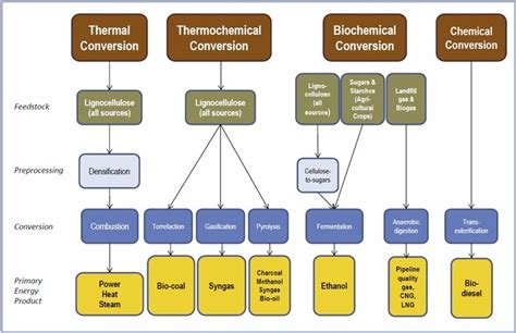 Biomass And Bioenergy Abbreviation