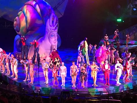 Wildly talented - Review of Mystere by Cirque du Soleil, Las Vegas, NV - Tripadvisor