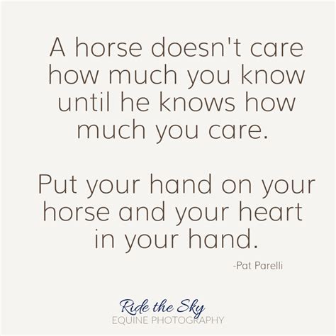 26 Great Horse Quotes - Ride the Sky Equine Photography