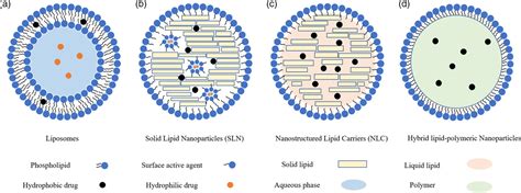 Lipid Nanoparticles for Drug Delivery - Pharma Excipients