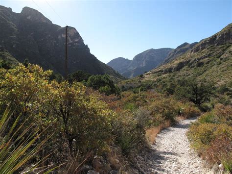 Guadalupe Mountains: McKittrick Canyon Trail – DearTexas,