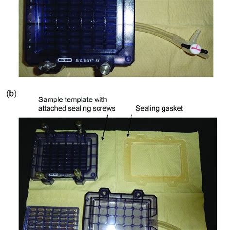 Bio-Dot SF Microfiltration Apparatus (slot blot apparatus with 48 ...