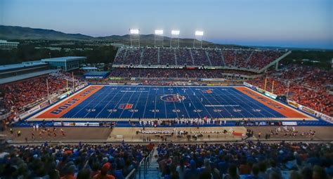 Boise State's blue turf is very confusing for geese