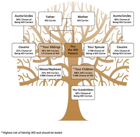 Family Genetics - Wilson Disease Association