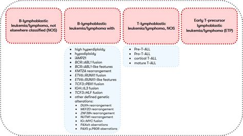 Acute Lymphoblastic Leukemia Symptoms