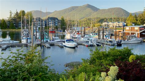 Visit Ucluelet: 2022 Travel Guide for Ucluelet, British Columbia | Expedia