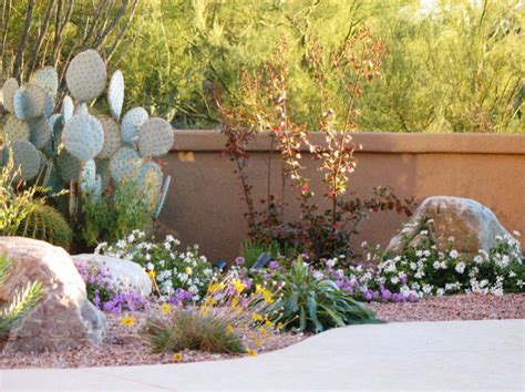 Native Plants for an Arizona Southwest Landscape - Watters Garden Center