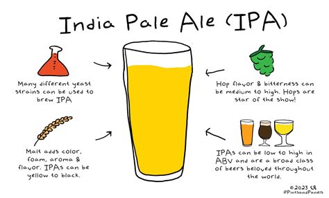 Beer 101- What is an IPA? — Pints and Panels