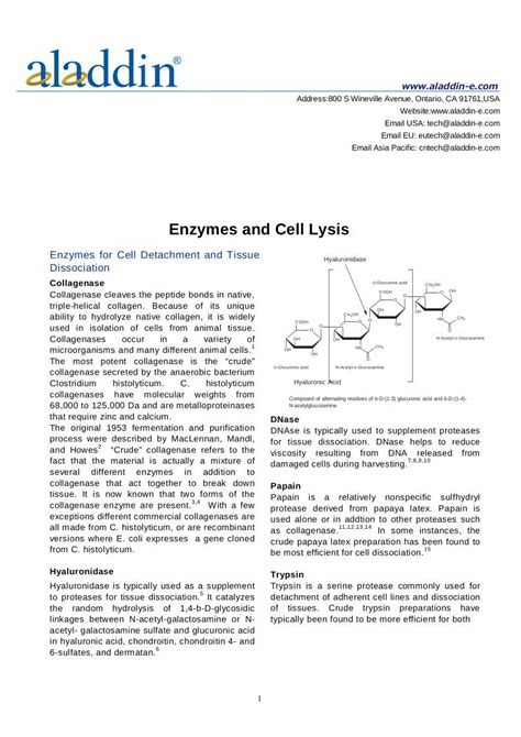 (PDF) Enzymes and Cell Lysis - aladdin-e.com and Cell Lysis.pdf · Enzymes and Cell Lysis ...