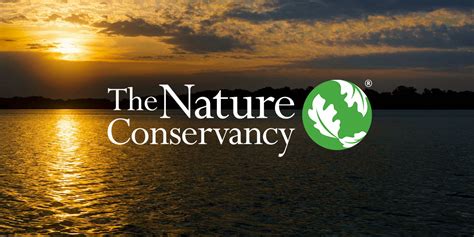 Nature Conservancy announces new board members - Yellowhammer News