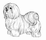Realistic Coloring Pages Printable Free And Easy For Kids sketch template