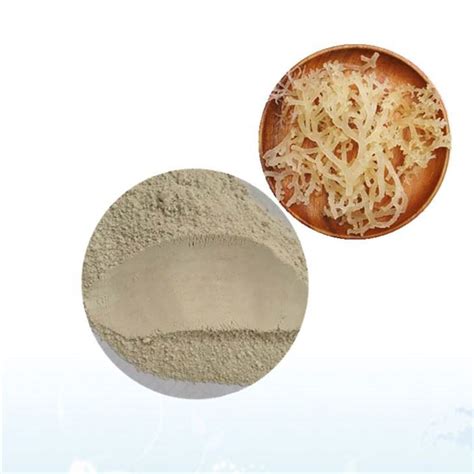 Irish Sea Moss Powder - Wholesale in Bulk - undersun