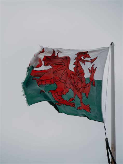 Close up of Welsh Flag · Free Stock Photo