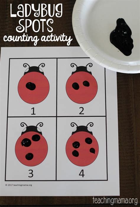 Ladybug Spots Counting Activity