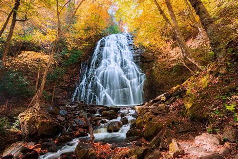 Asheville Fall Foliage Show 2023