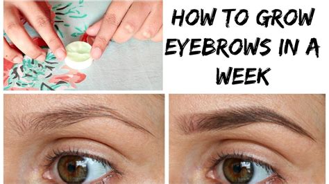 How To Grow Your Eyebrows In 2 Weeks - EyebrowShaper